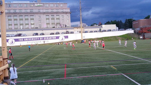 Fitzpatrick Field - Thumbnail