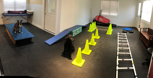 Tails of Rye Canine Rehabilitation - Thumbnail