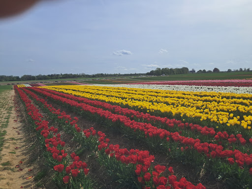 Grevenbroich-Kapellen-Wevelinghoven