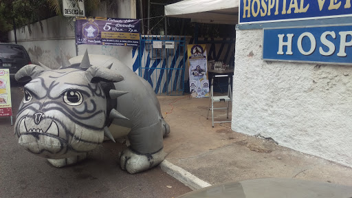 Hospital Veterinario Peninsular