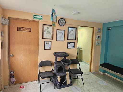 Centro Médico Veterinario Lomas del Bosque