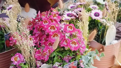 Floralwerk - Die Landesmeister Gallery - Germany