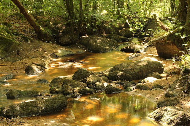 Gorges du Corong