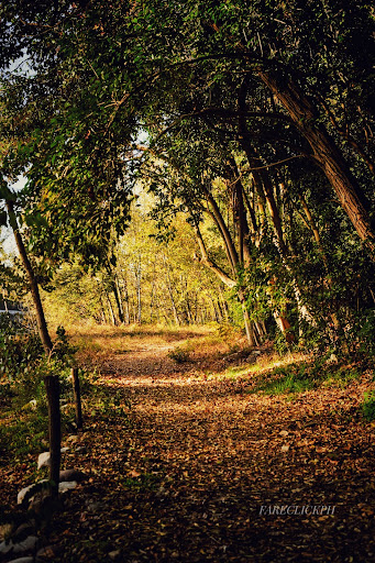 Sentiero Naturalistico - Centenario ANA Montegrappa - Thumbnail