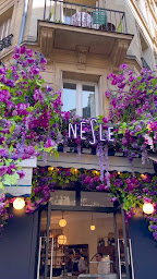 Photo n°28 de Le Nesle à Paris (Brasserie)