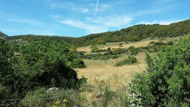 Valle della Luna