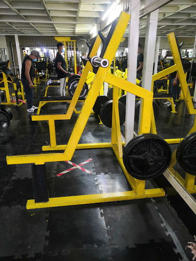 Axel Gym - Thumbnail