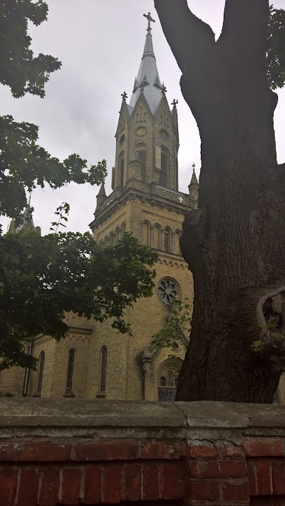 Photos of St. Joseph Cathedral