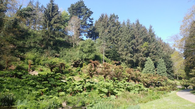 Jardin du Conservatoire botanique national de Brest