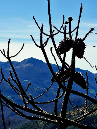 Monte Dente - Visual