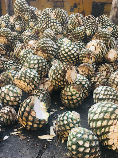Tequila Don Cayo