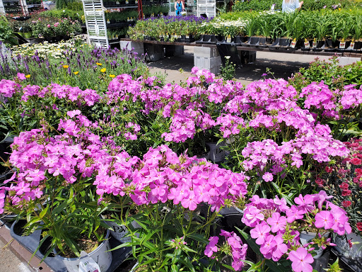 Greenbrier Nurseries Inc.