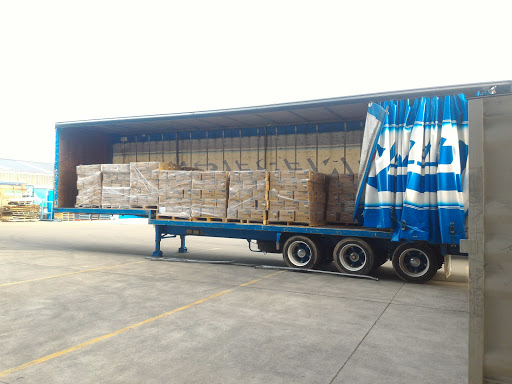 Mainfreight - Thumbnail