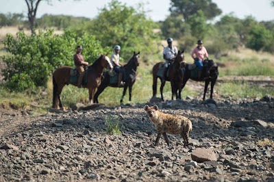 Photos of Limpopo Horse Safaris