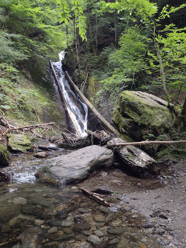 Granville Gulf Reservation State Forest - Thumbnail