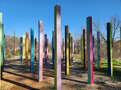 “Rainbow Forest” - Visual
