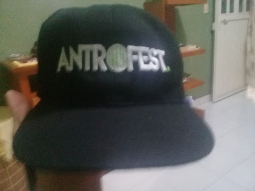 ANTROFEST. - Visual