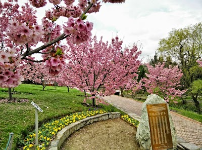 Photos of Nezahat G&ouml;kyiğit Botanical Garden