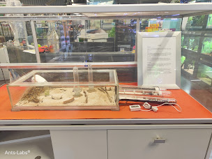 Photo n°17 de Ants-Labs à Outrepont (Magasin d'articles pour animaux)