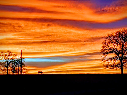 Center Ranch - Visual