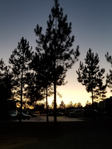 Fernbrook Park - Visual