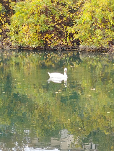 Parco Damioli - Thumbnail