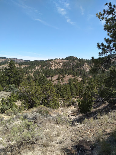 Tongue River Breaks Hiding and Riding Area - Thumbnail