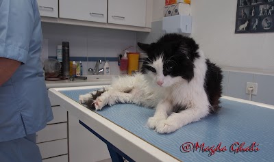 Photos of Veterinary Office Villereuse