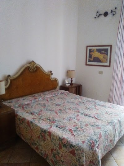 Photos of the sunflower b & b