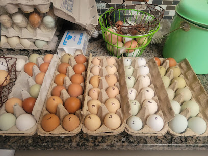 Foto de Miss Linda’s Farm