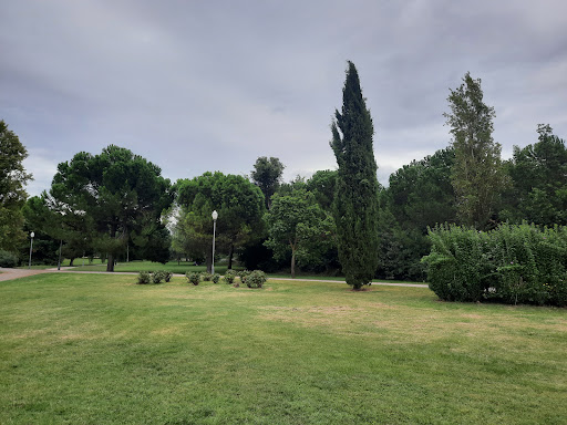 Río Albarregas Park - Thumbnail