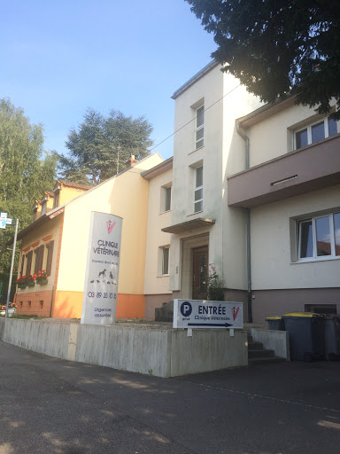 Veterinary Clinic Dornach - Thumbnail