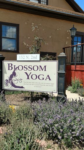 Seek Yoga Studio - Thumbnail