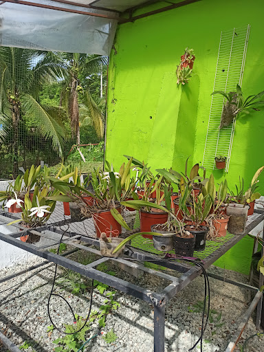 Veterinaria La Fe 2| Santa Cruz