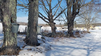 Remick Country Doctor Museum & Farm