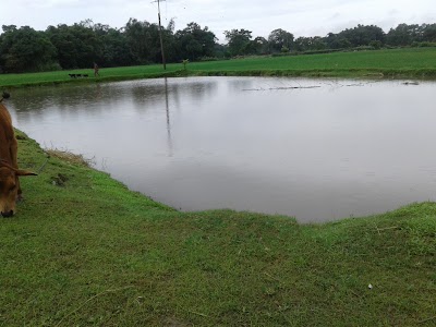 Photos of Royal Manas National Park