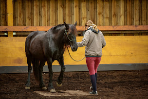 Photo n°16 de Alegria Relation de Complicité® à Caumont (Éleveur de chevaux)
