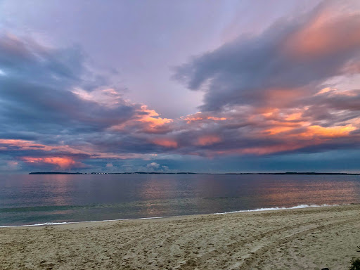 The Grand Pde at Solander St - Thumbnail
