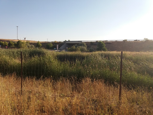 Charca del Cementerio