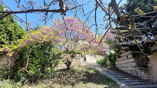 Terme Romane - Visual