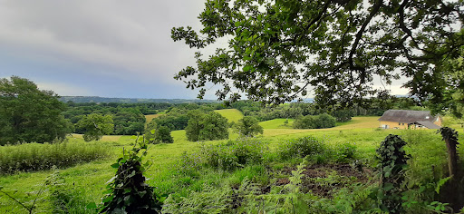 Boucle du Sentier forestier du Laring