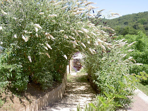 Photo n°14 de Parc Du Charron à Les Eyzies (Aire de pique-nique)