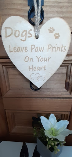 pet parent stuff - Visual