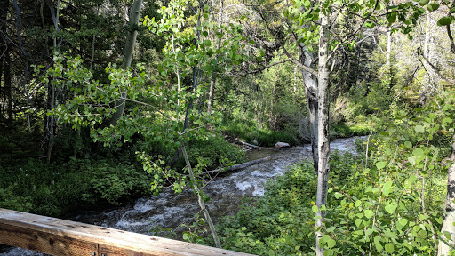 North Fork Overflow Campground - Thumbnail