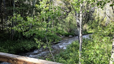 North Fork Overflow Campground