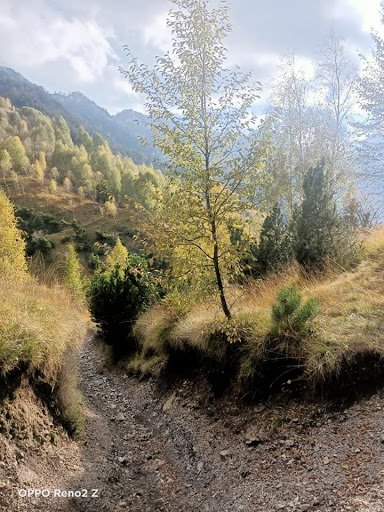 Monte Varro - Visual