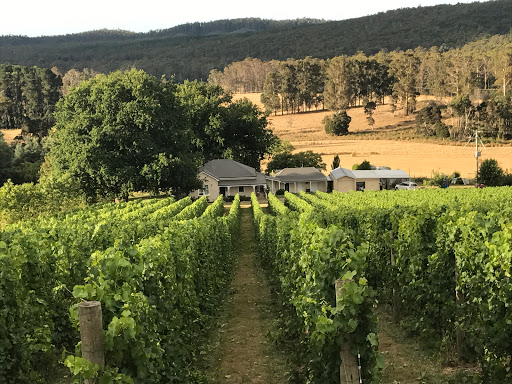 APOGEE TASMANIA