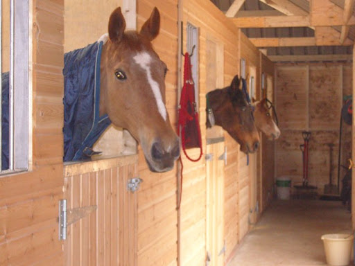 Equi Stone Equestrian Ltd - Thumbnail