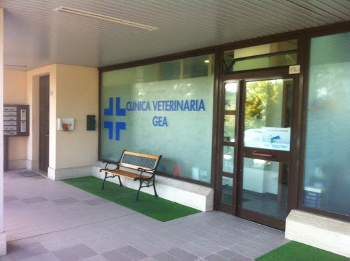 Clinica Veterinaria GEA - Dr.ssa FRANCA PECORARIO