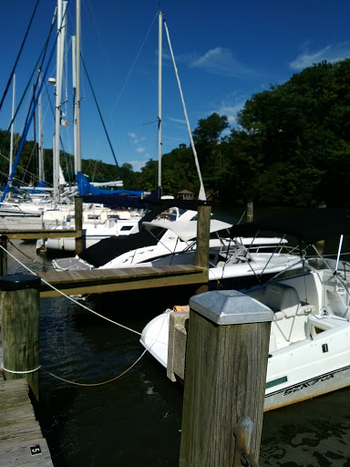Homeport Farm Park - Thumbnail